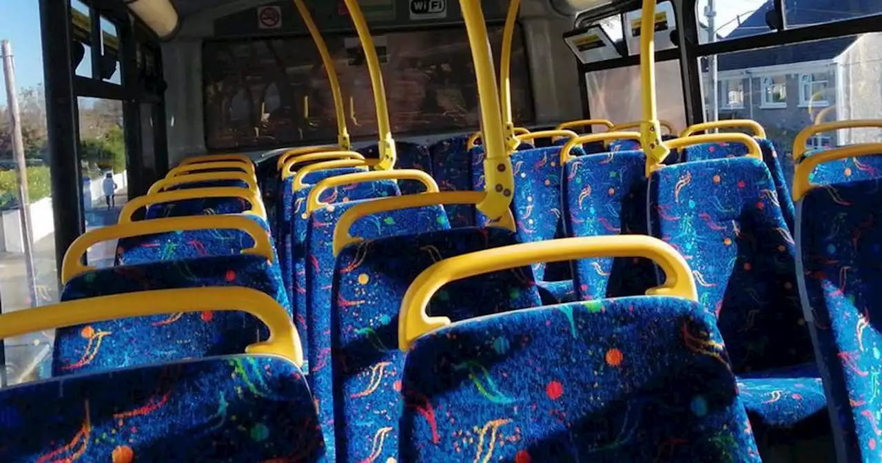 Man 'pleasures himself' on Dublin Bus next to terrified young woman