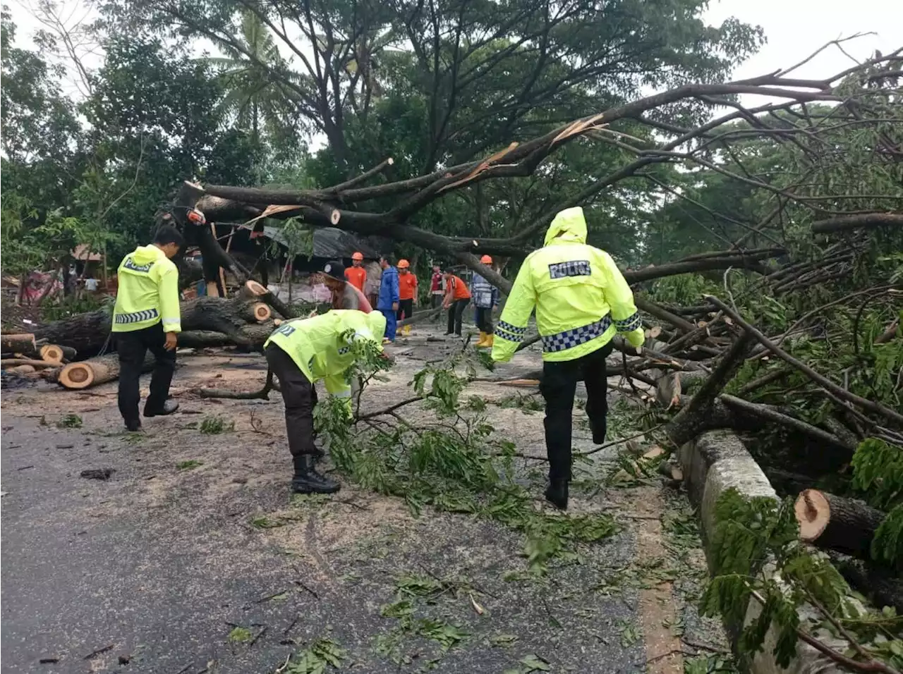 Waspadai Dampak Fenomena La Nina Triple Dip