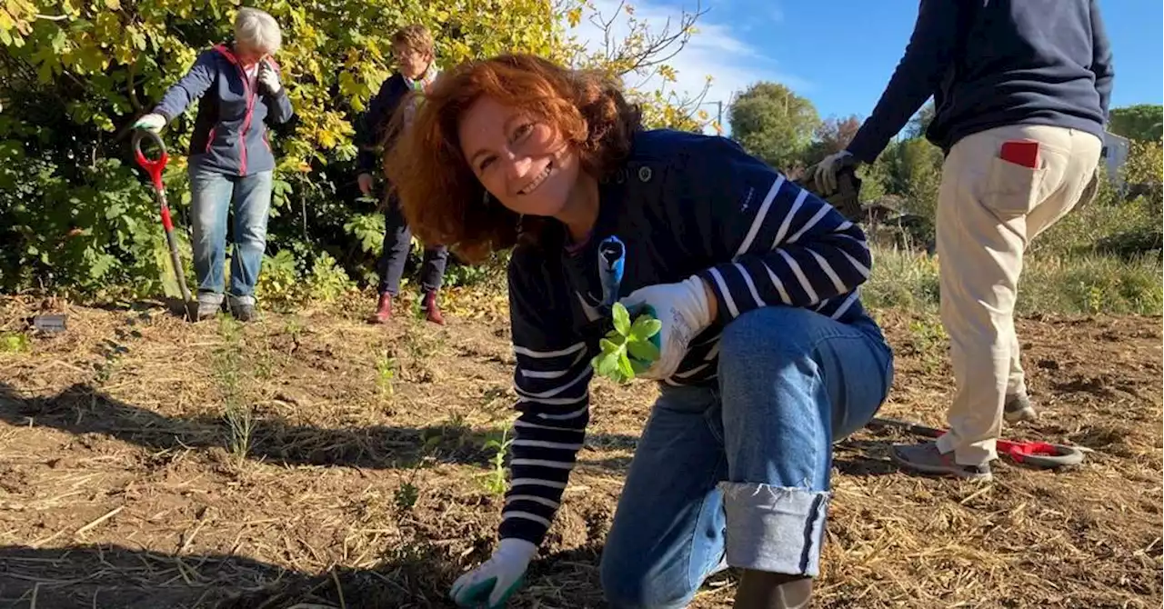 Salon : ils ont planté 615 arbres en une seule et unique journée