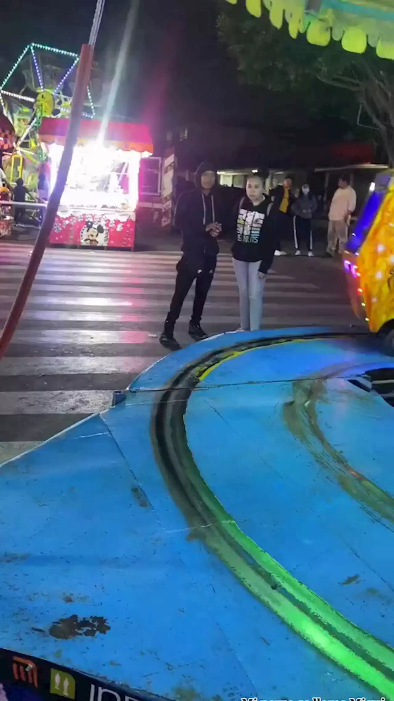 VIDEO: Perrito se sube a juego de feria por primera vez