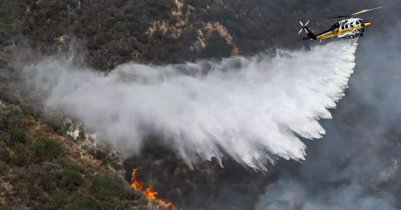 'We got really lucky': Why California escaped another destructive fire season in 2022