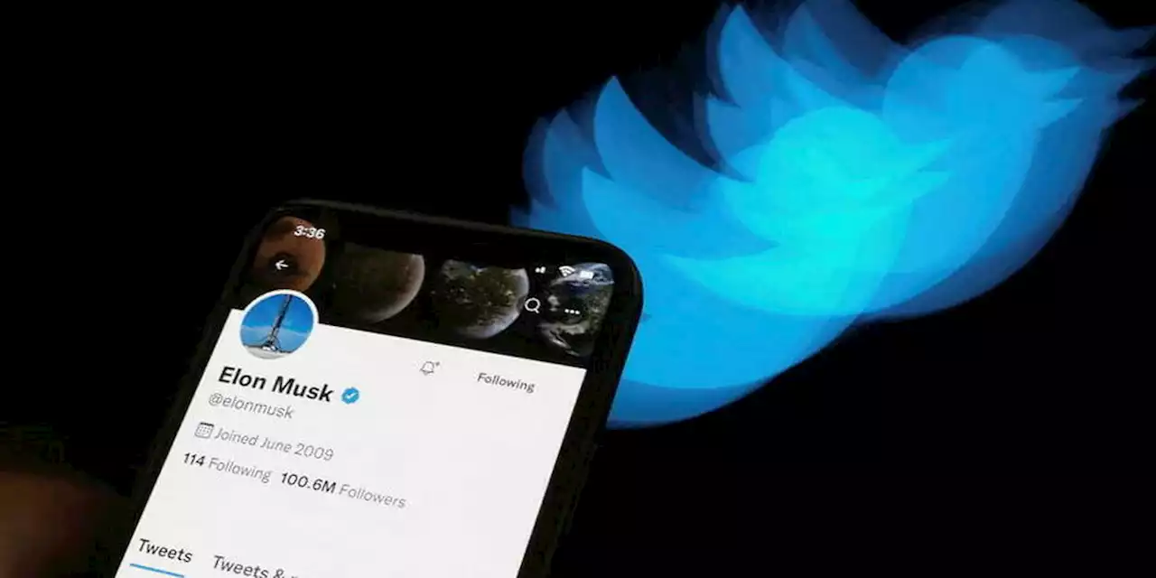 Twitter : des comptes bannis rétablis par Elon Musk