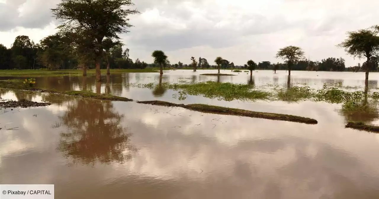 COP27 : accord trouvé in extremis sur les dégâts climatiques