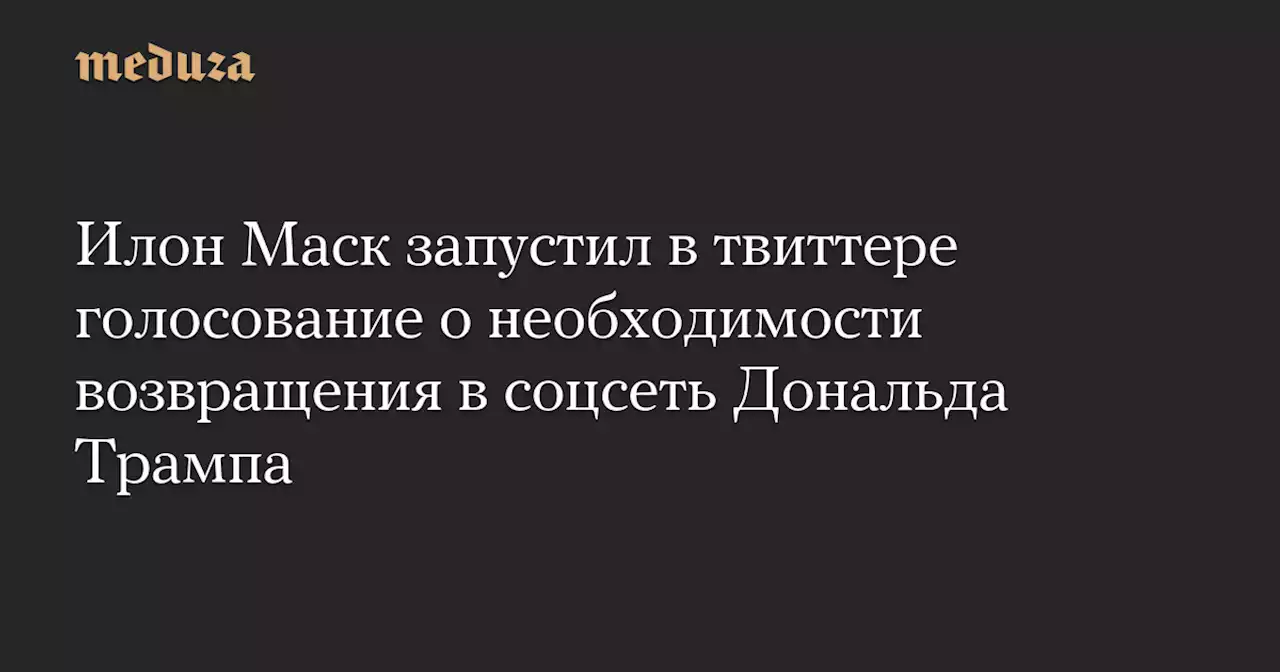 Илон Маск запустил в твиттере голосование о необходимости возвращения в соцсеть Дональда Трампа — Meduza