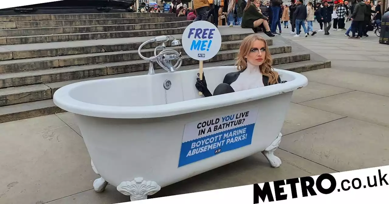 Love Island's Faye Winter painted and confined to bathtub in London protest