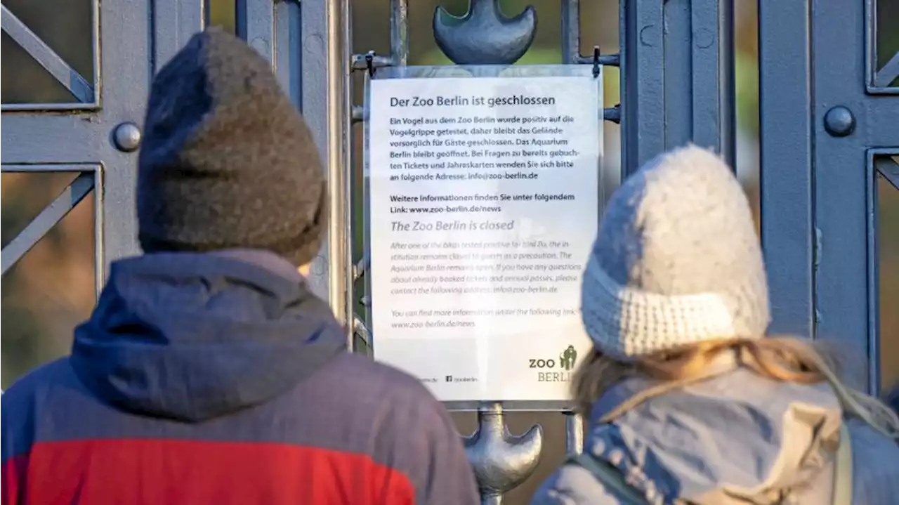 Berliner Zoo weiter wegen Vogelgrippe geschlossen – auch Tierpark Berlin reagiert