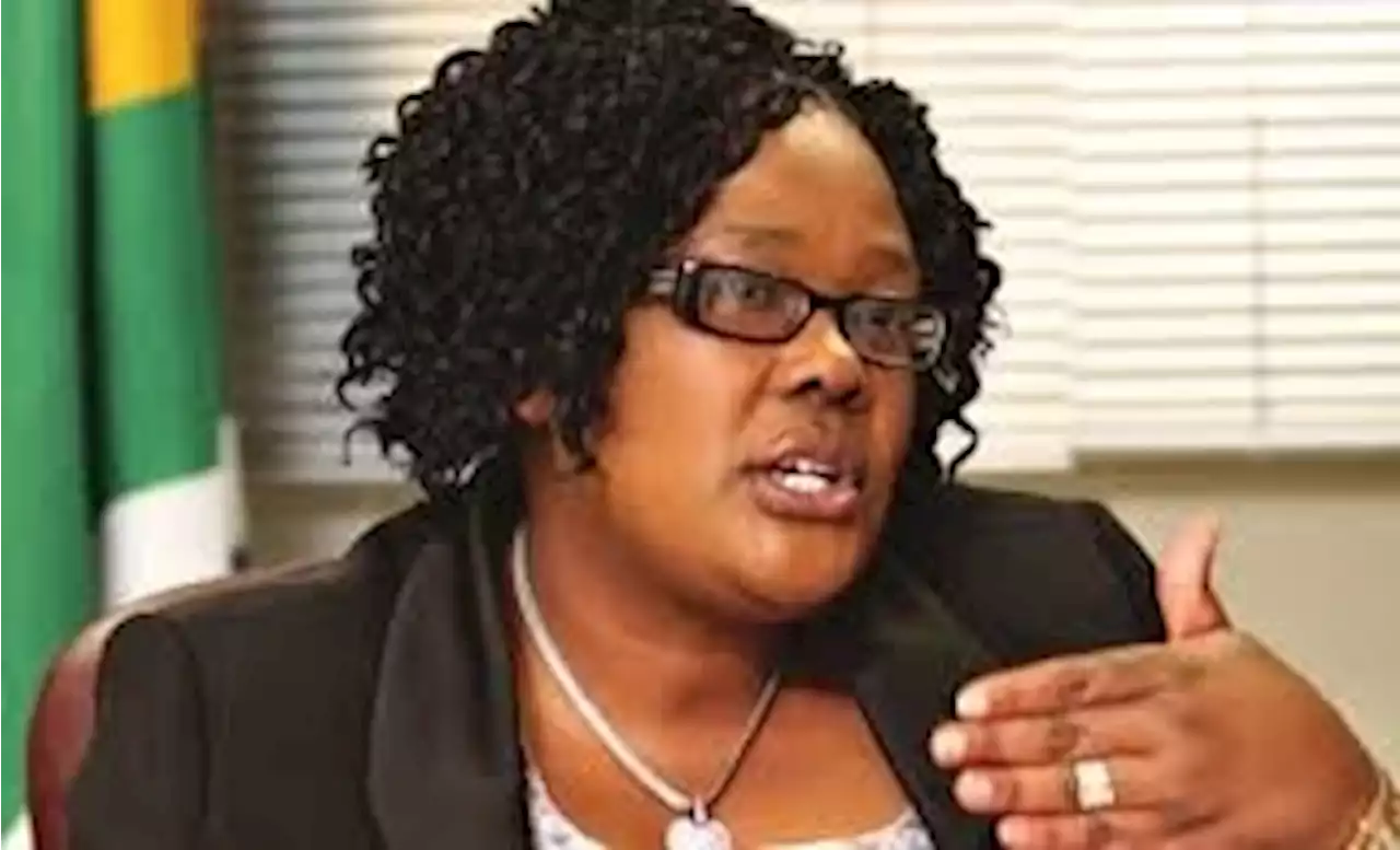 Kaveel Singh | Criminally charged KZN DG continues thriving in her job, and apparently it's fine | News24