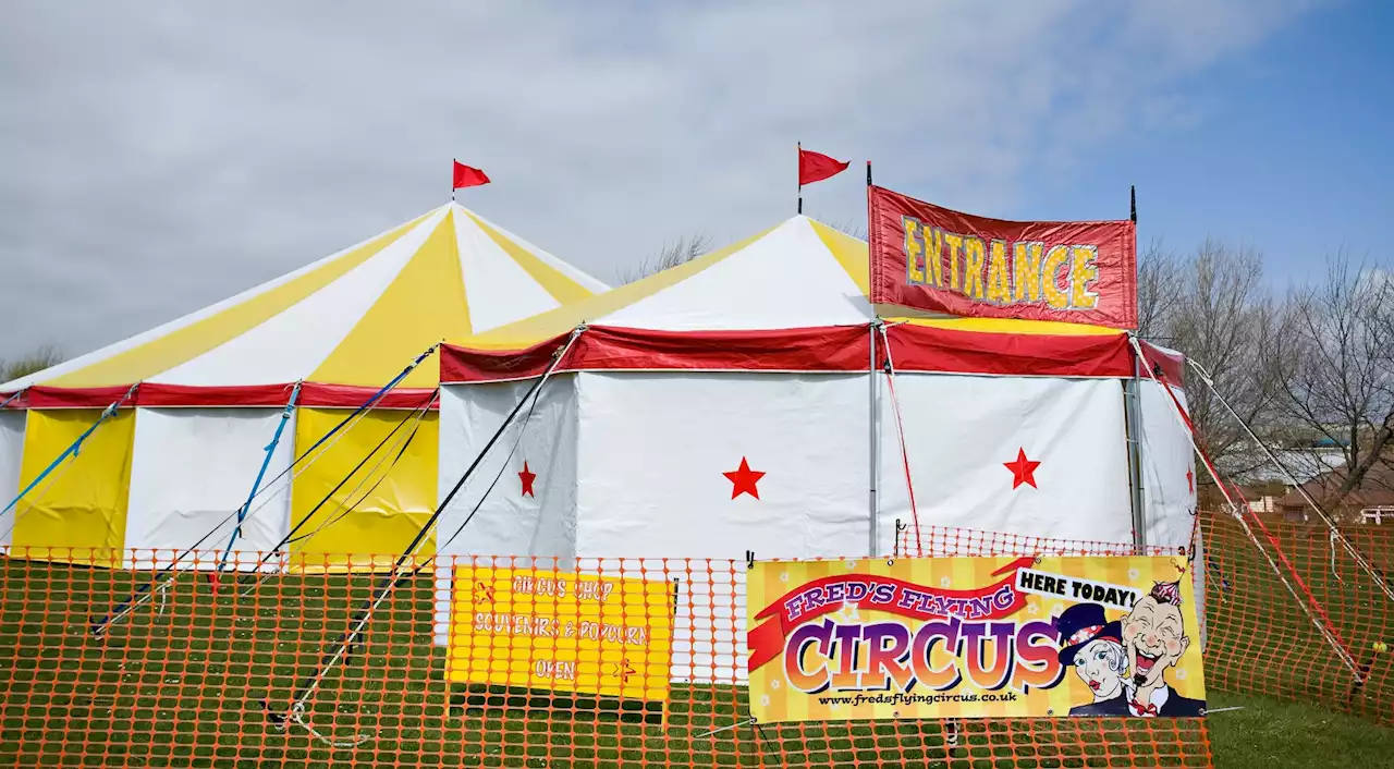 Wexford nurse leaves scrubs behind to run away with the circus