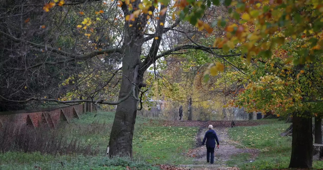 Nottingham park voted as one of the best 10 in the UK