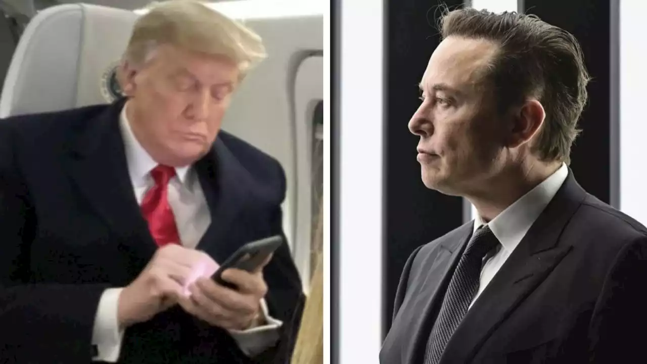 Elon Musk somete a encuesta en Twitter si restituye la cuenta de Donald Trump