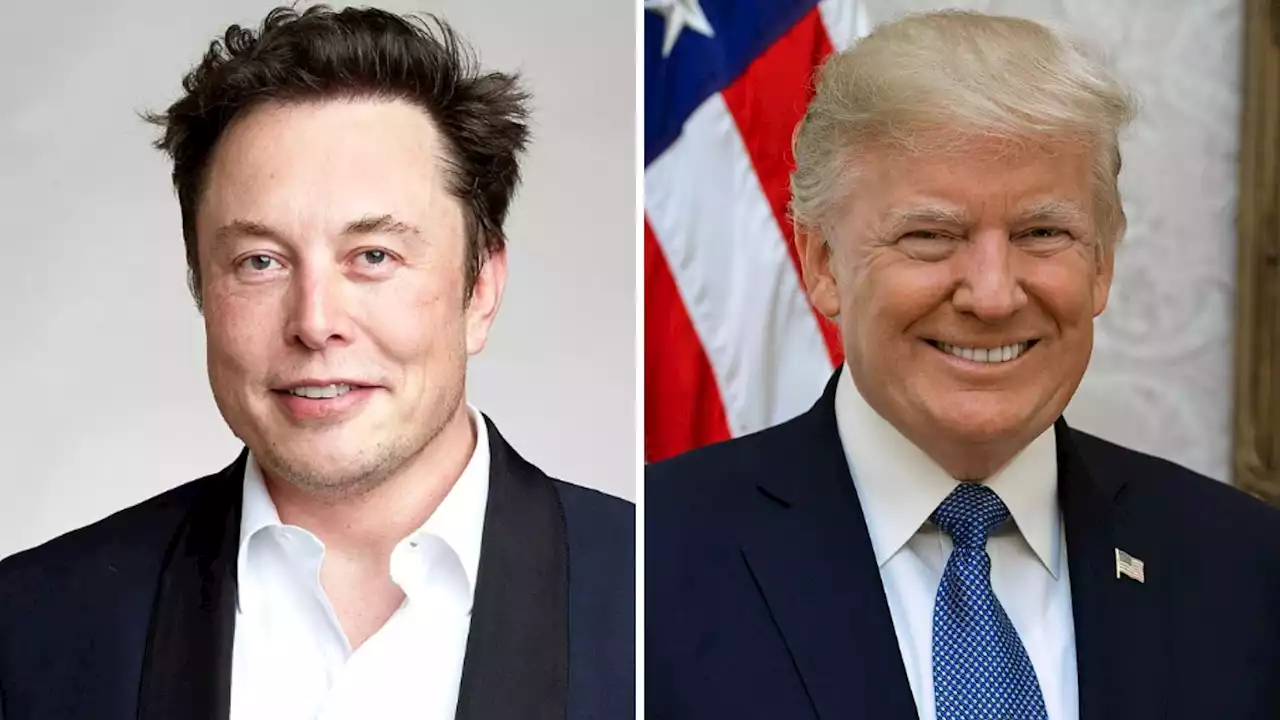 Elon Musk abre enquete no Twitter para perguntar se Donald Trump deve voltar para a plataforma