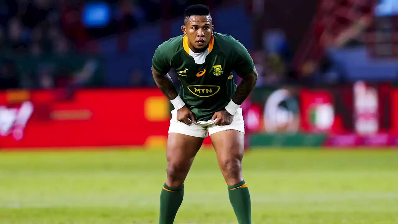 Pro D2: l'ouvreur sud-africain Elton Jantjies, champion du monde 2019, signe à Agen