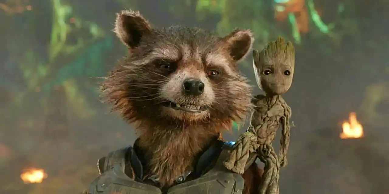 Guardians of The Galaxy 3 Will Reveal Rocket's Origin Story, Says Gunn