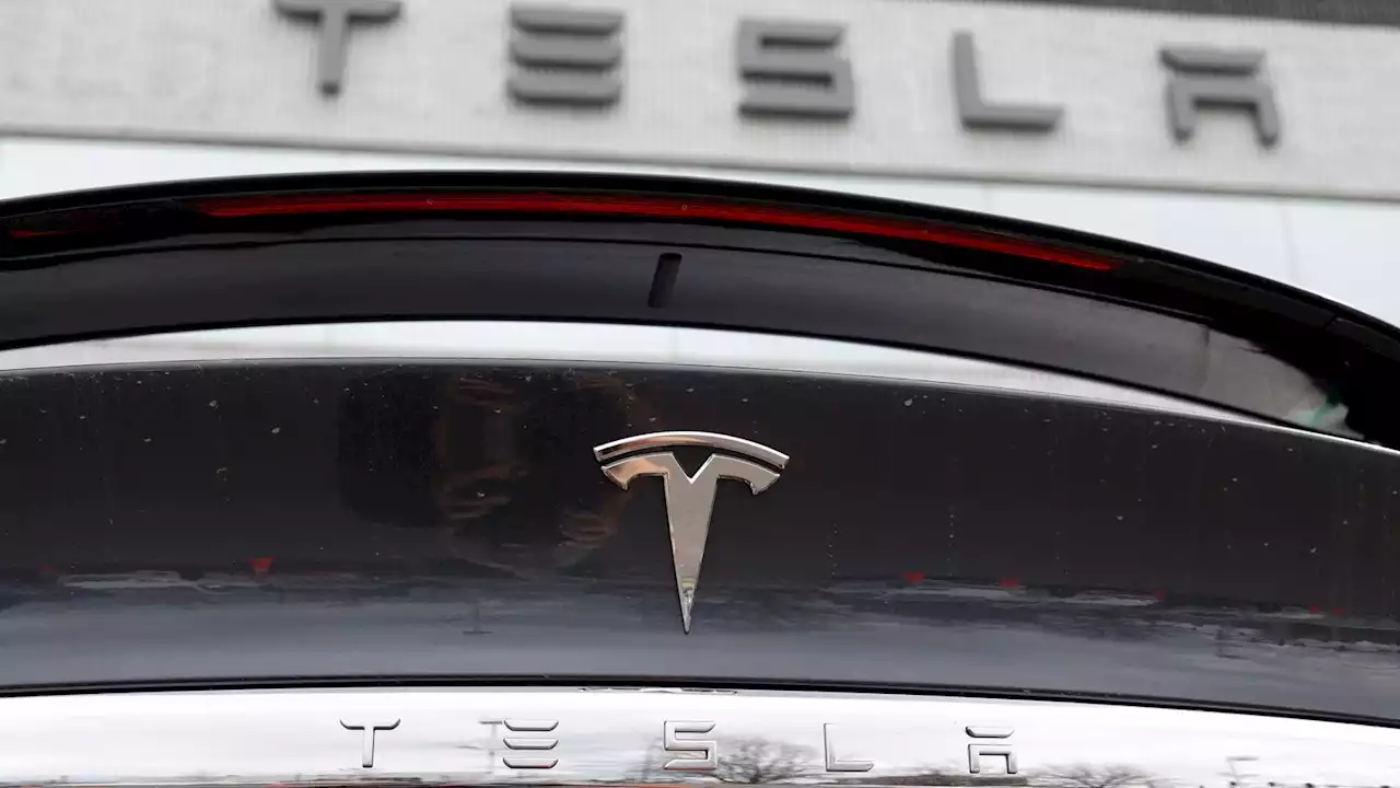 Tesla recalls more than 300,000 vehicles in US over rear light problems