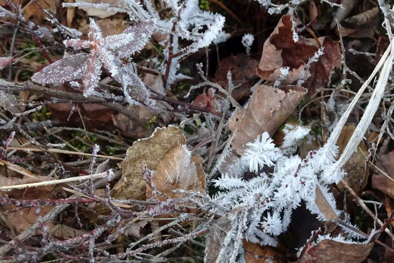 Snow in the forecast for Saturday, but less so for Sunday