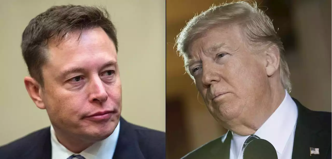 Twitter : le « oui » mène dans le sondage d’Elon Musk pour réintégrer Donald Trump