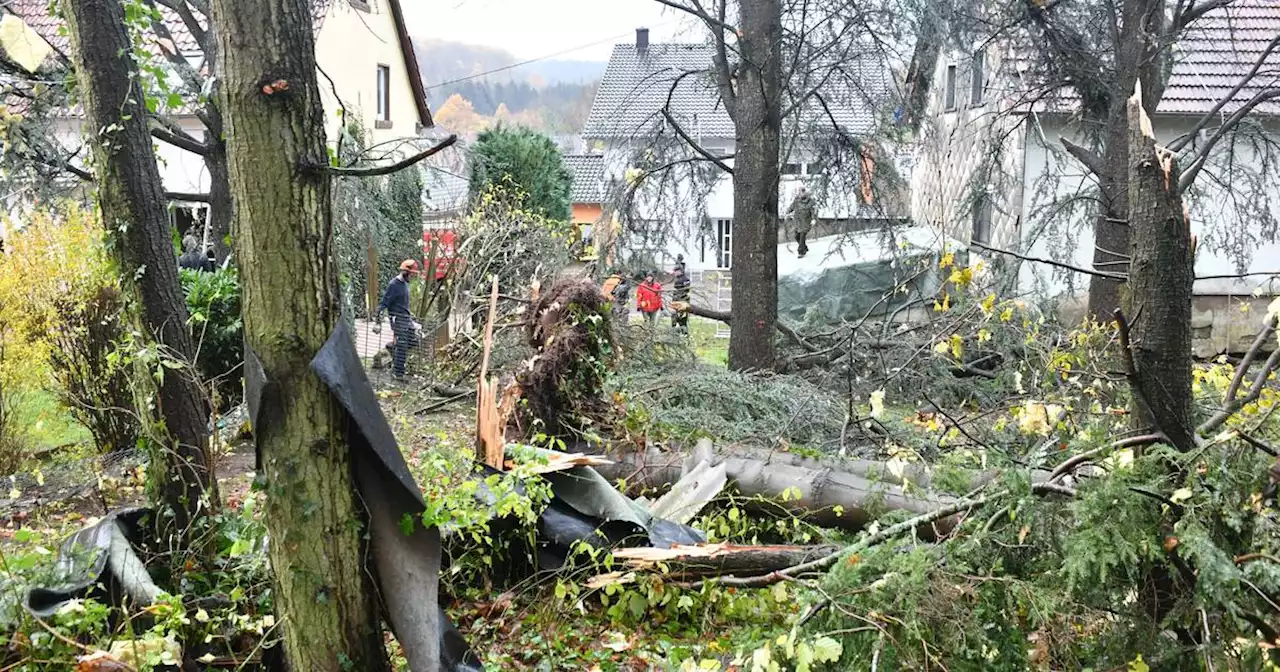 Opfer des Unwetters: „Er hat alles mitgerissen“: Tornado tötete mehrere Tiere in Urexweiler