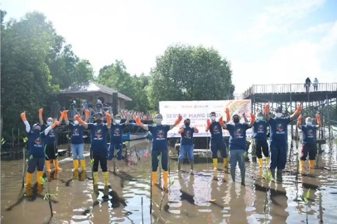 Pupuk Indonesia Buat Kebun Percontohan dan Pembibitan di Bangka Belitung