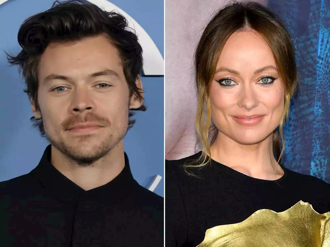 Harry Styles and Olivia Wilde 'are taking a break'