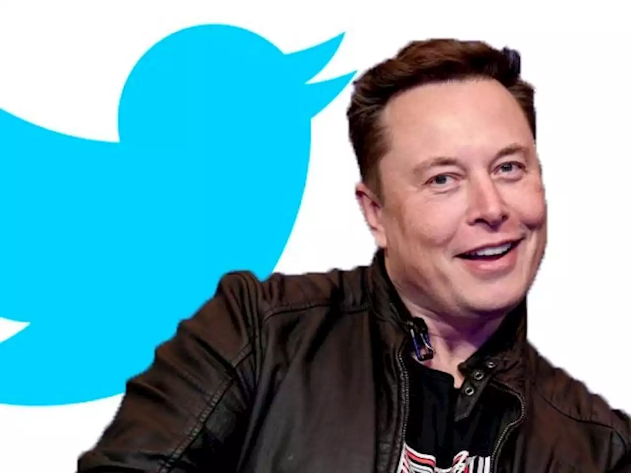 TWITTER ISN'T GOING ANYWHERE: The left is addicted and Musk will make it better