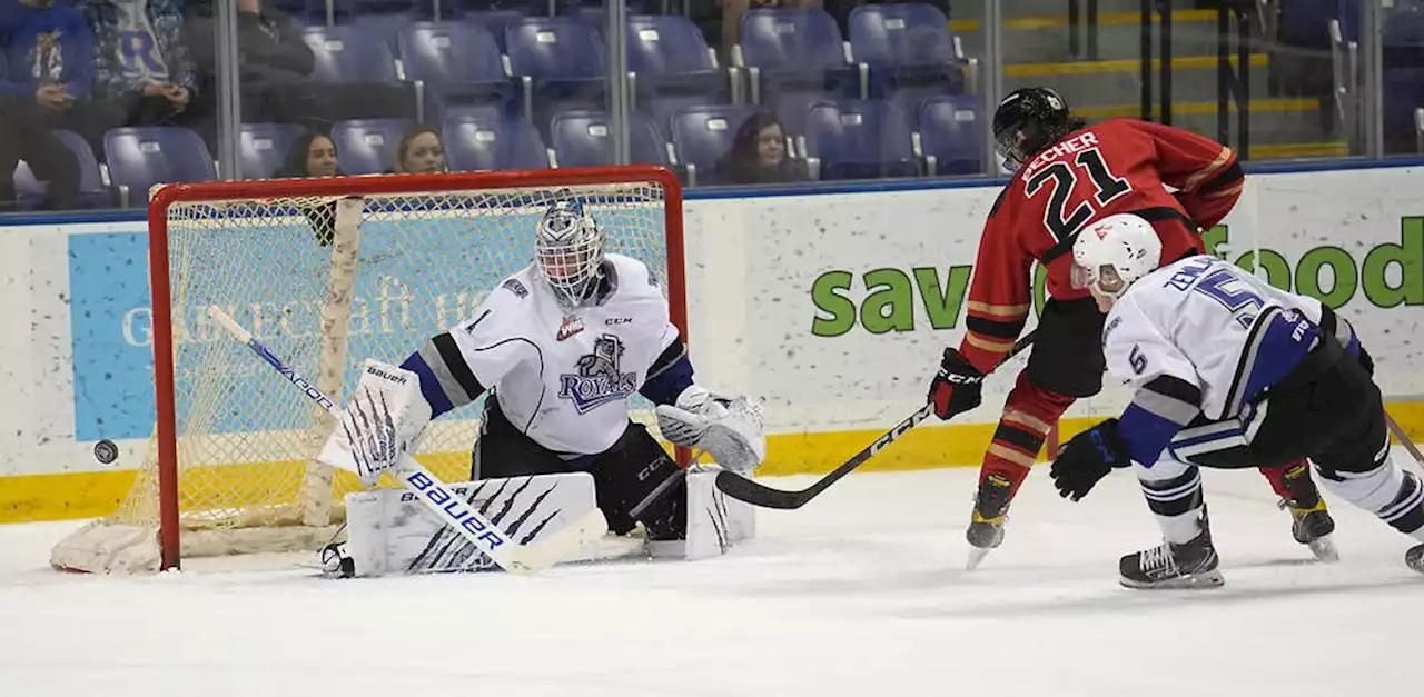 Cougars hammer under-manned Victoria Royals