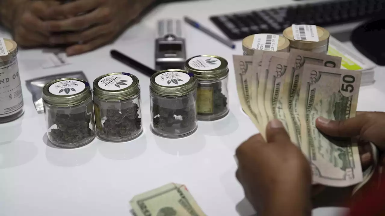 Visiting Las Vegas? Understanding cannabis culture, regulations in Nevada | Here Weed Go! podcast