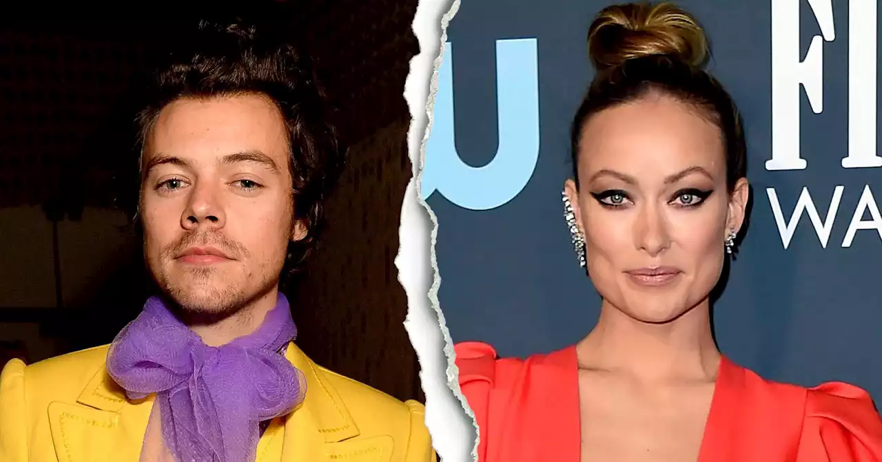 Harry Styles and Olivia Wilde Split After Nearly 2 Years of Dating