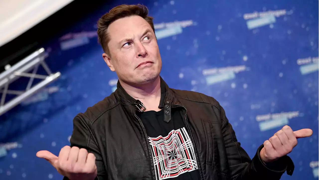 Twitter : Elon Musk veut que certaines vidéos soient payantes