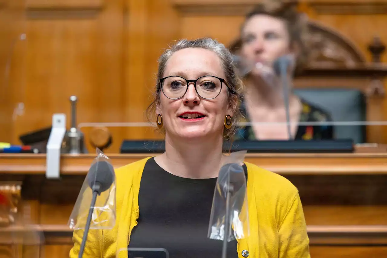 Grüne und GLP greifen SP-Sitz im Bundesrat nicht an