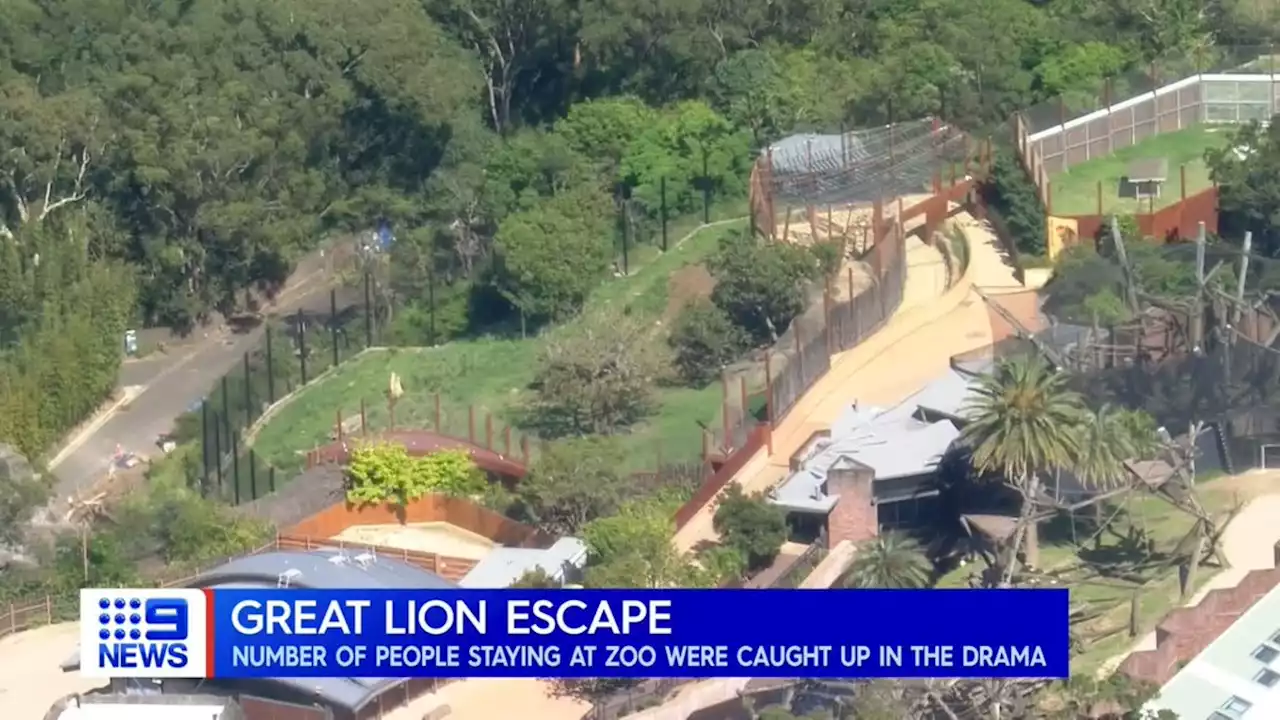 Follow the 9News live breaking news blog throughout the day