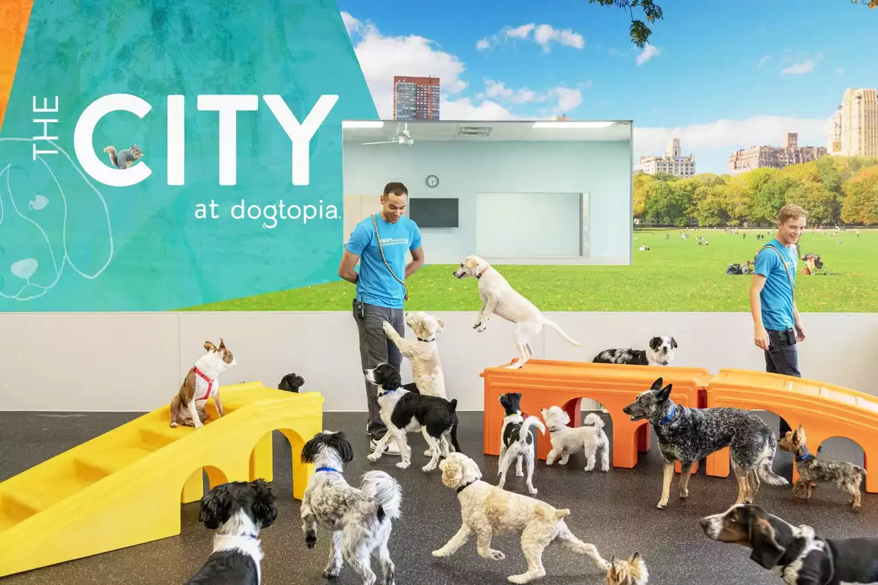 Dogtopia coming to Birmingham’s Urban Supply