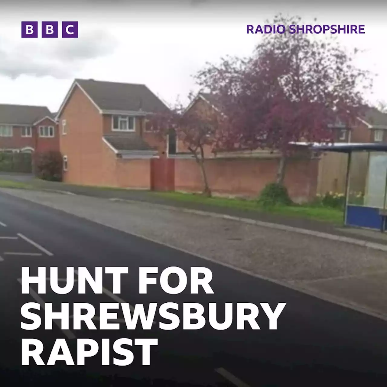 Hunt for rapist after woman attacked in car in Shrewsbury