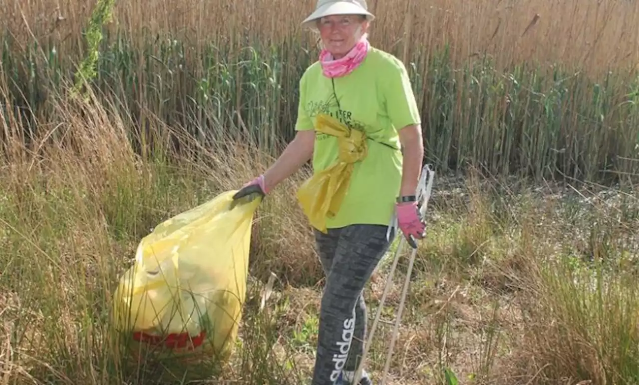 Lend a hand at Atlasville wetland clean-up | Boksburg Advertiser