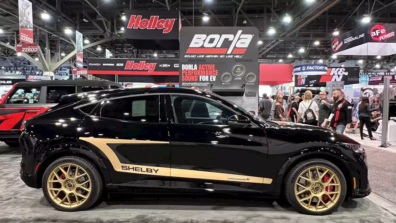 Should Your Ford Mustang Mach-E Sound Like a GT500 or a C8 Stingray?