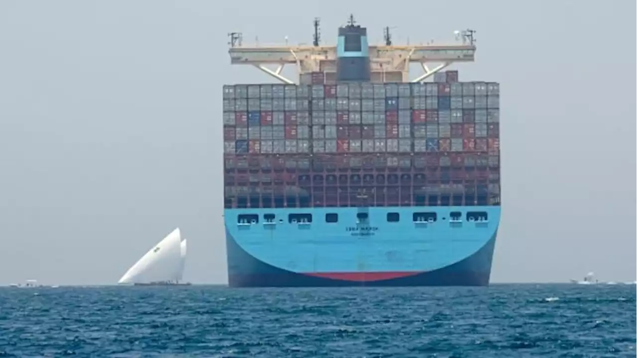 Cargo ships burn a lot of fossil fuel. Changing that will be hard | CBC News