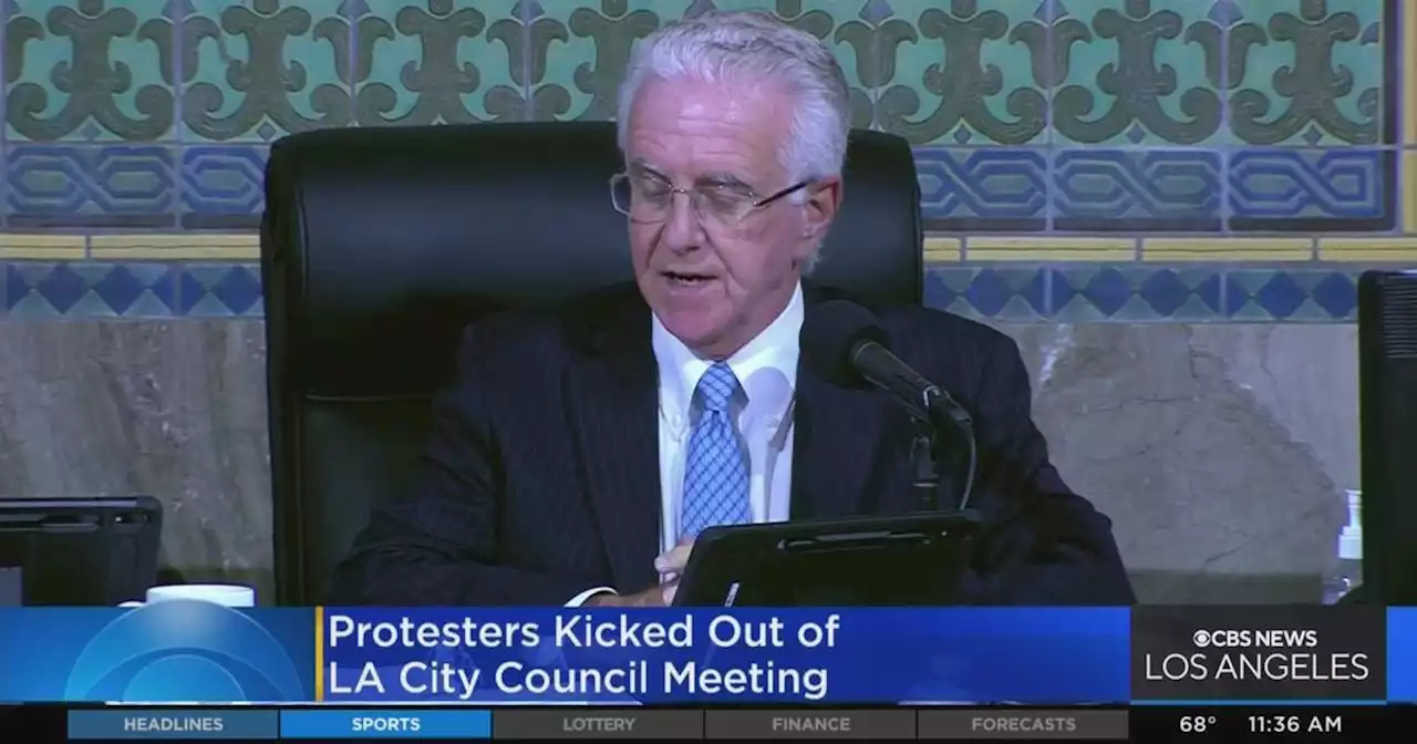 Protesters kicked out of LA City Council meeting