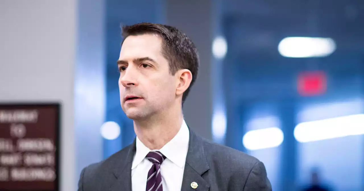 Sen. Tom Cotton says U.S. needs to 'get tough on crime' following Paul Pelosi attack