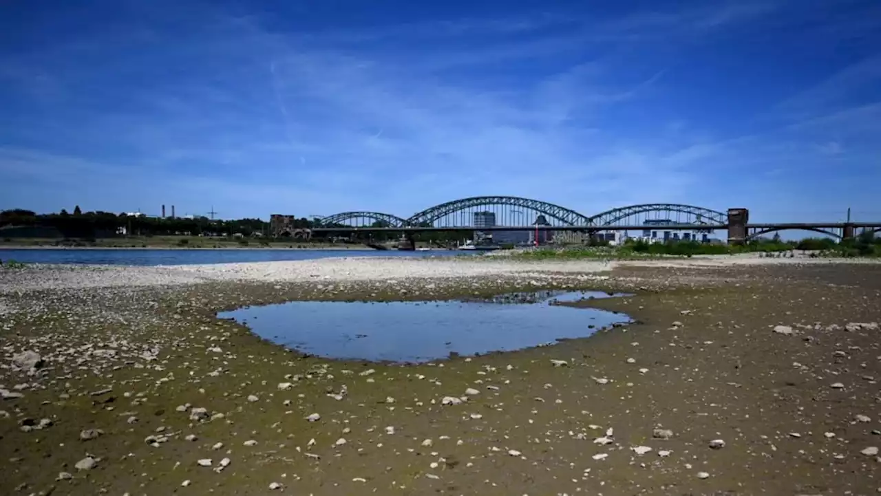 Europe temperature rise more than twice global average: UN