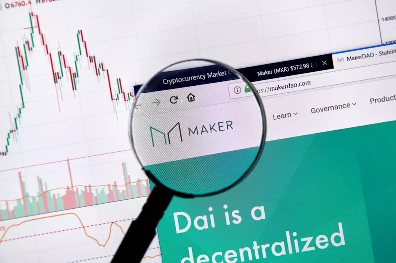 MakerDAO Co-Founder's Body Discovered in Puerto Rico | CoinMarketCap