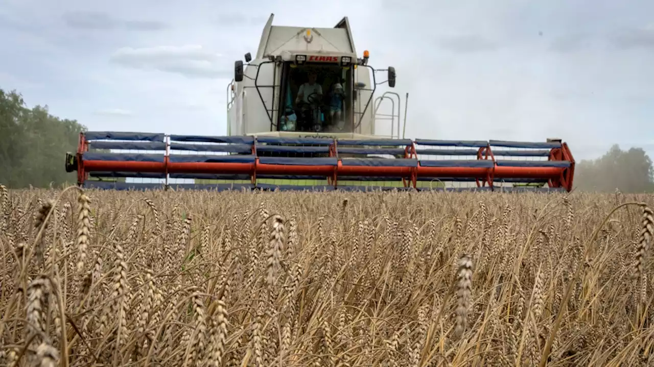 Why Russia's pullout from Ukraine grain deal will impact prices in Canada