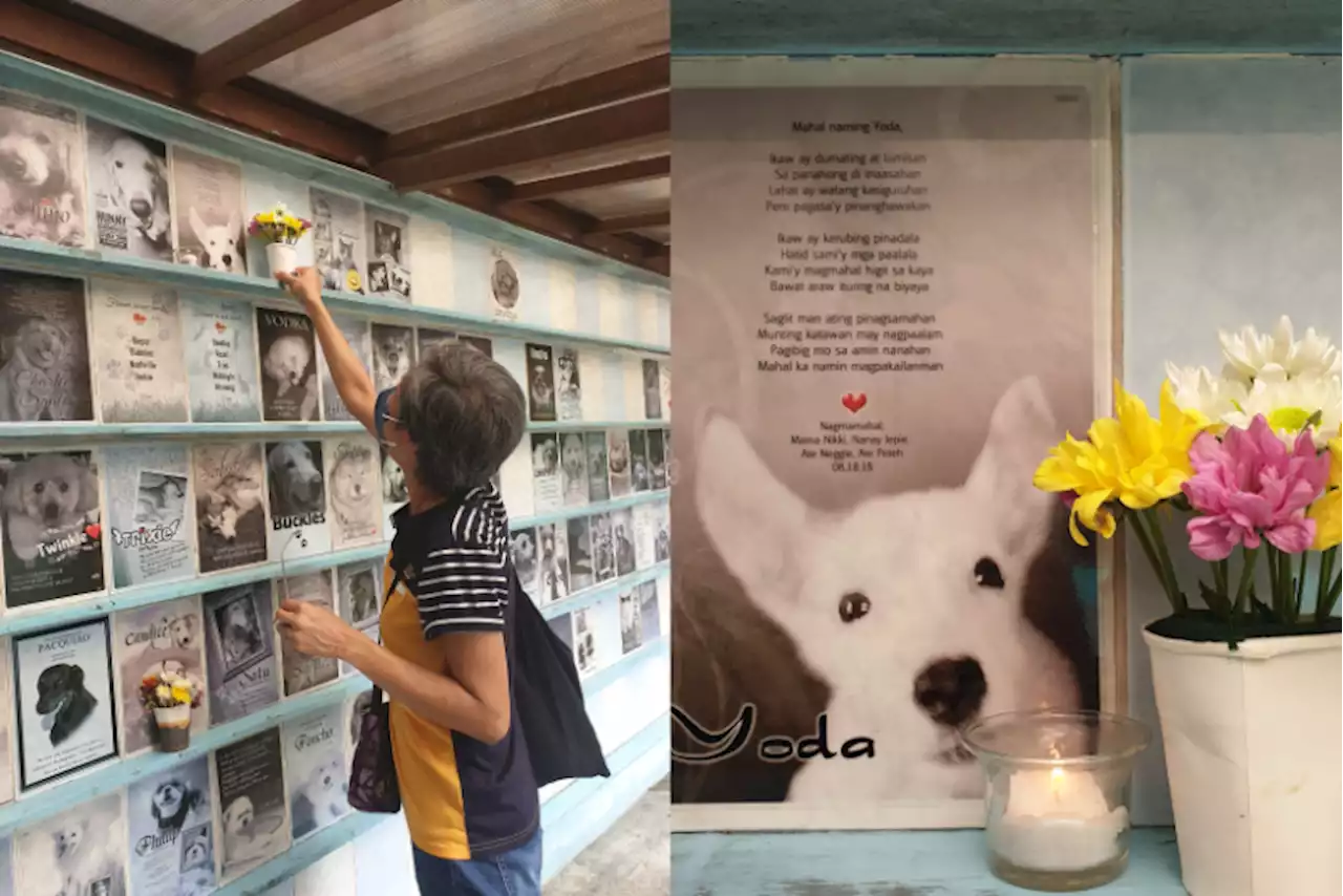 Fur parents may commemorate deceased pets at PAWS 'Pet Memorial Wall'