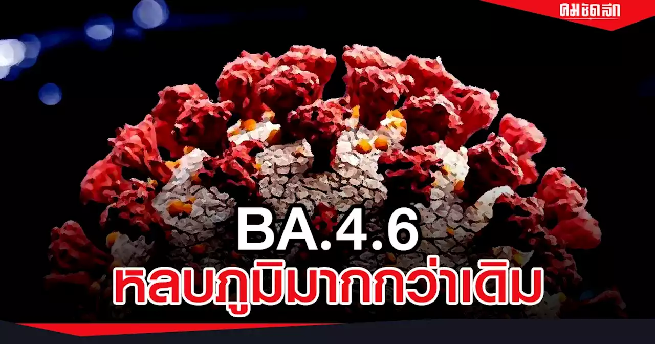 กรมวิทยาศาสตร์การแพทย์ พบ 'โอไมครอน' BA.4.6 หลบภูมิมากกว่าเดิมกว่าครึ่ง