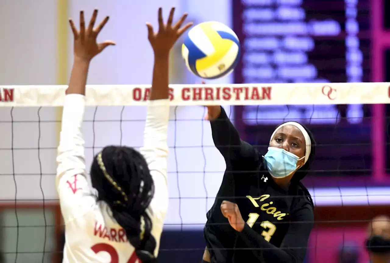 Alemany, Oaks Christian girls volleyball set for CIF finals rematch, this time in Division 3