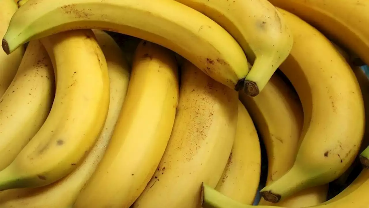 Engrais, fret maritime, énergie... le prix de la banane va flamber en 2023