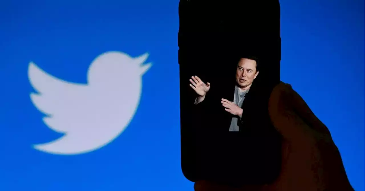 Les comptes Twitter suspendus ne seront pas rétablis avant plusieurs semaines, assure Elon Musk