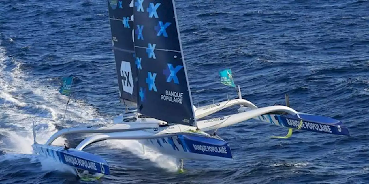 Route du Rhum: la course au large séduit toujours autant les sponsors