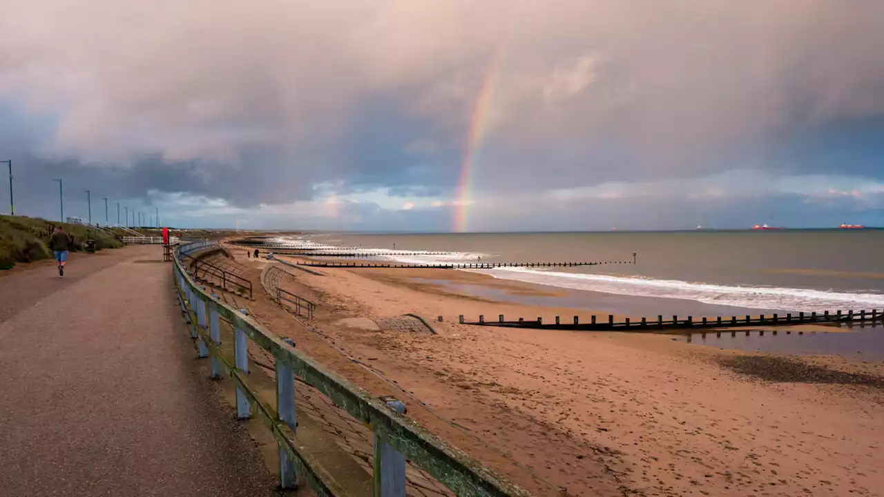 Man dies in sea trying to rescue dog after it was ‘spooked by fireworks’