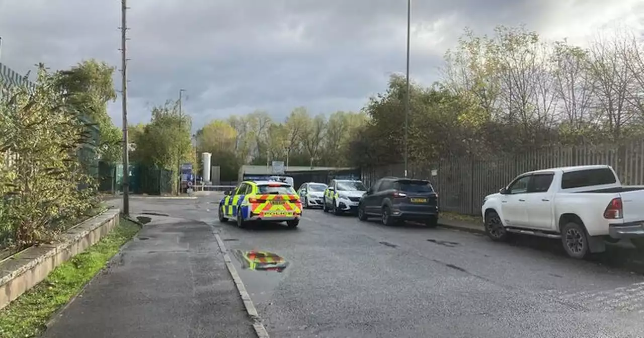 Police update after human body parts 'found in skip'