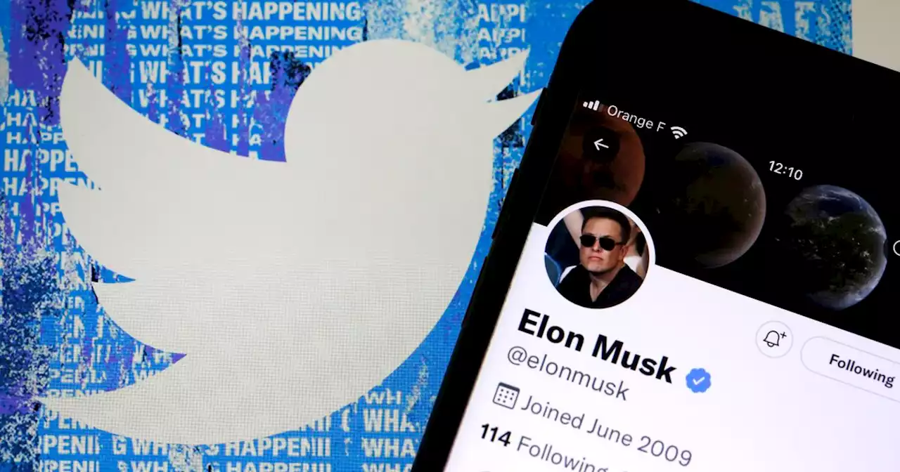 Elon Musk détaille sa vision d'un Twitter payant