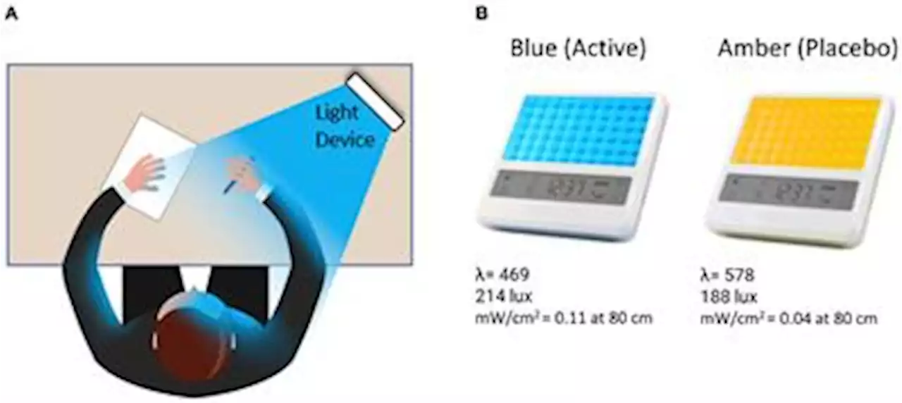 Frontiers | Morning blue light treatment improves sleep complaints, symptom severity, and retention of fear extinction memory in post-traumatic stress disorder